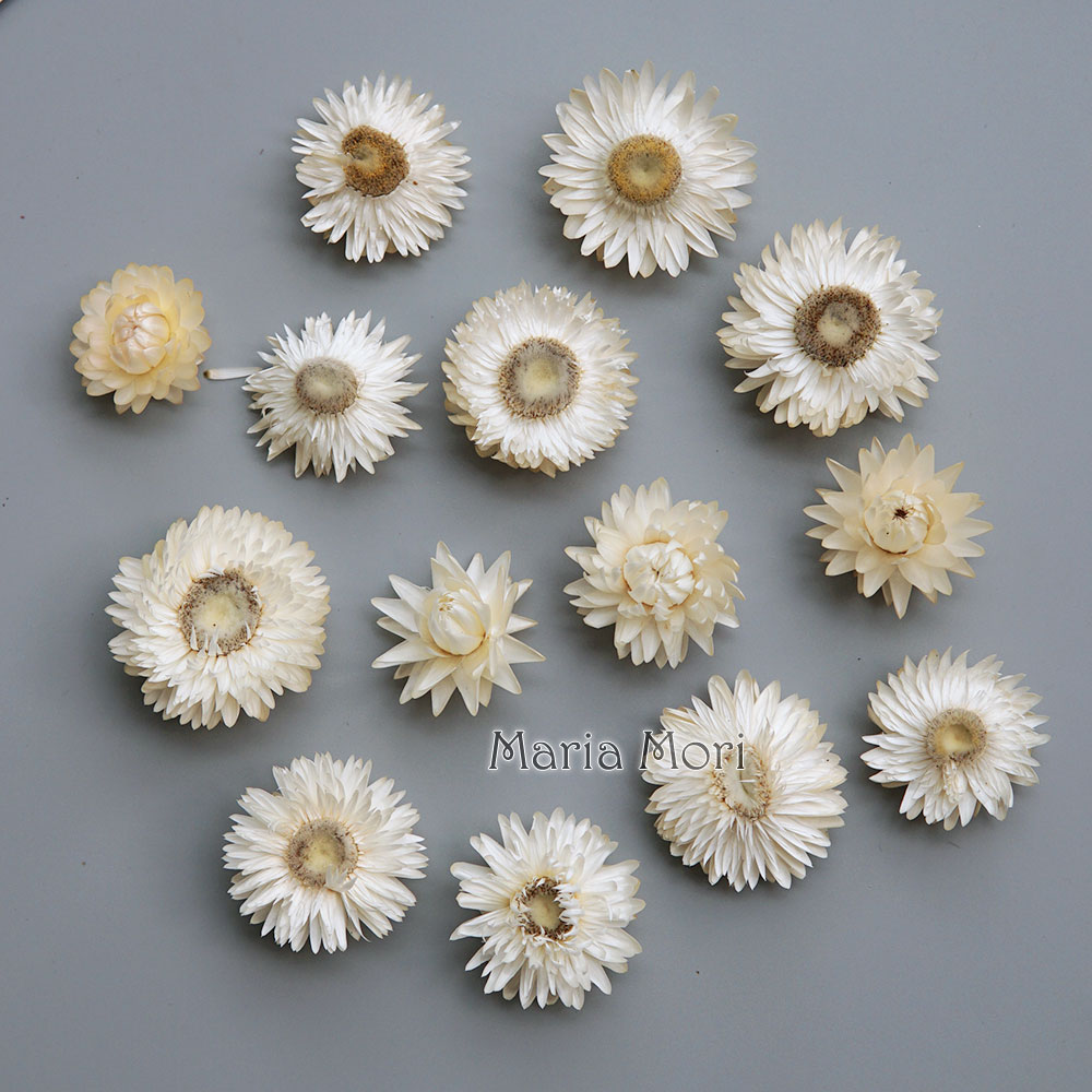 Baby Product - Natural Dried Colorful Chrysanthemum Wreath Handmade