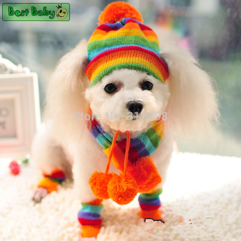 Baby Products Expo - Winter Pet Puppy Accessories For Dogs