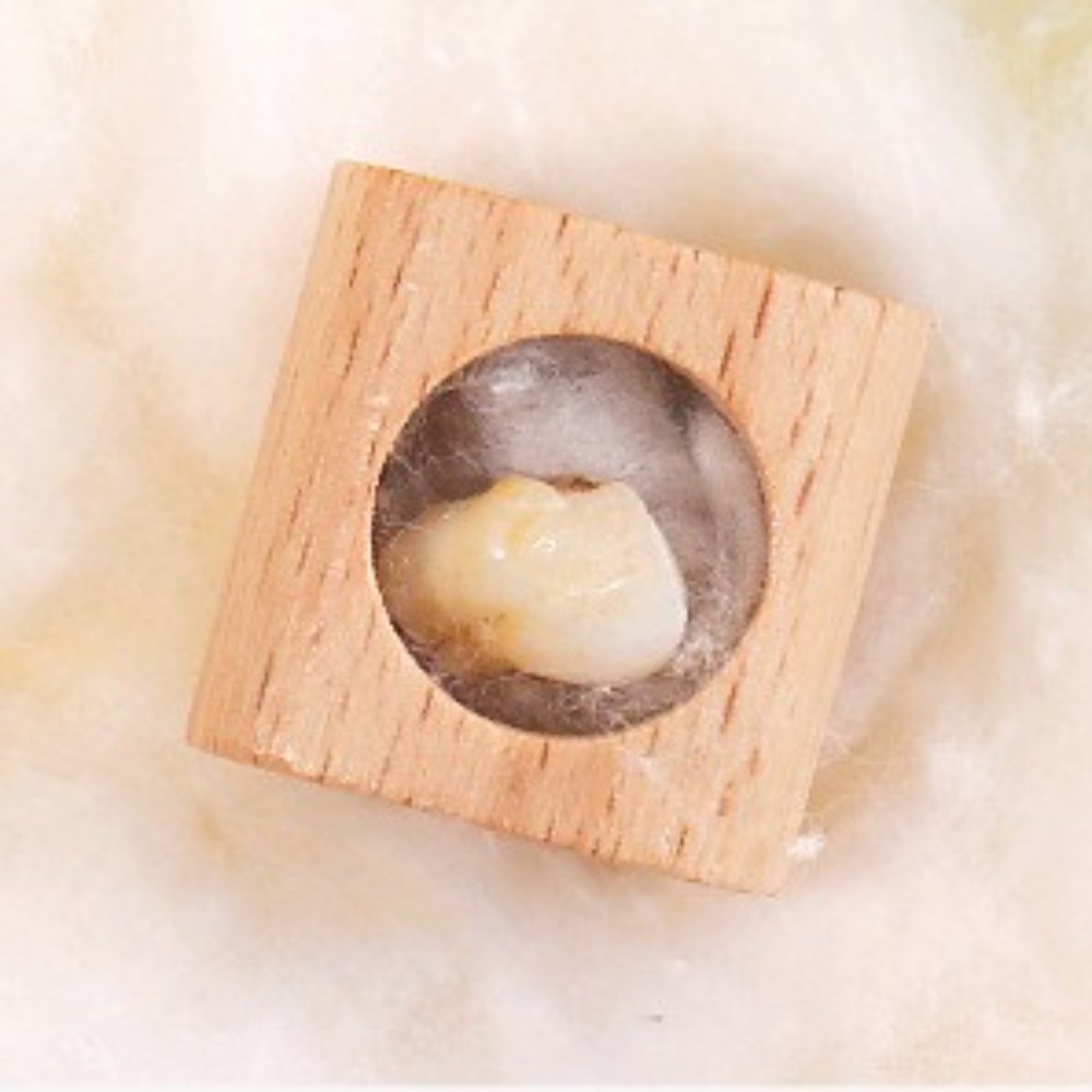 Wooden Baby Tooth Box Cartoon  - огляд і ціна Baby Products Storage Box